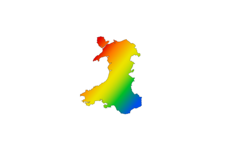 no words Neurodivergence Wales Logo